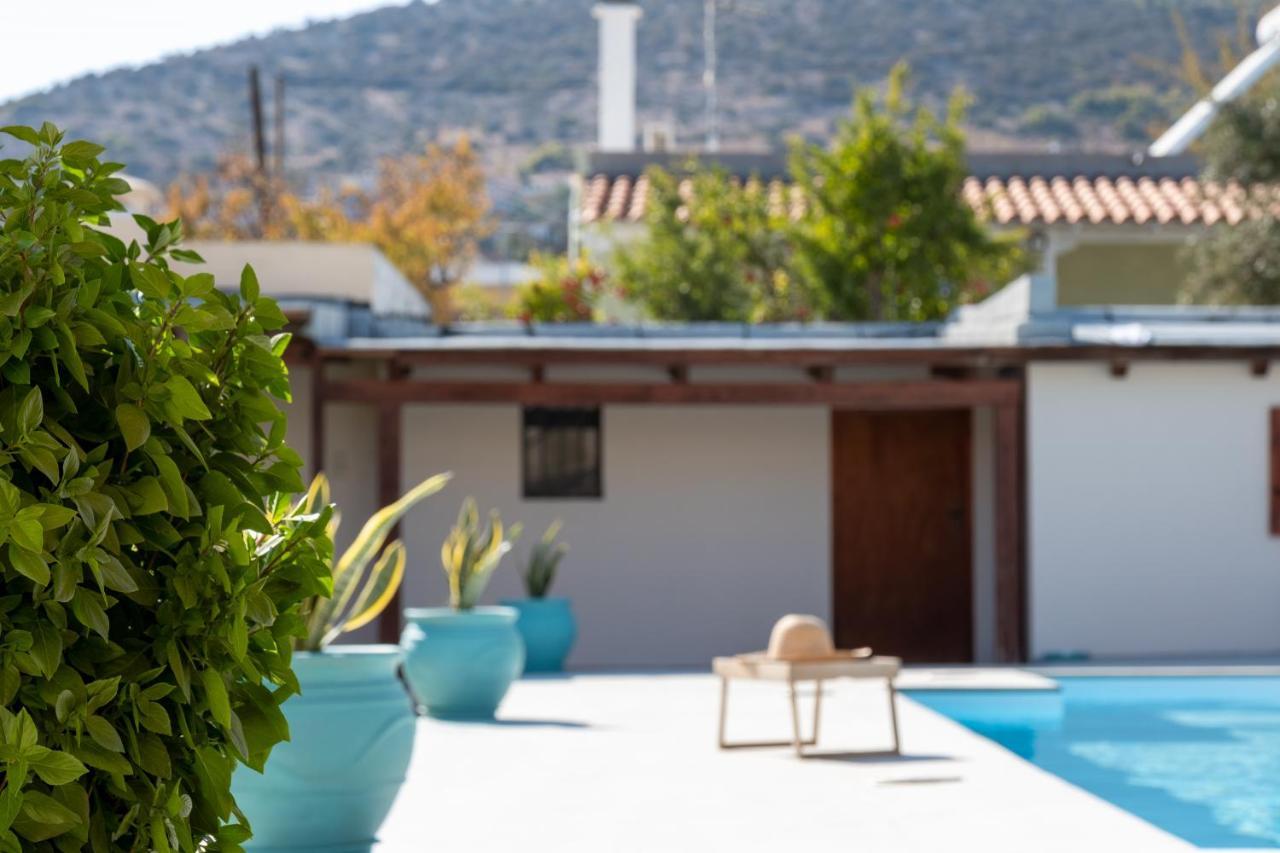 Green House Ariadni أرتيميدا المظهر الخارجي الصورة